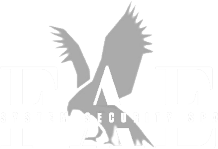 FAE System Security